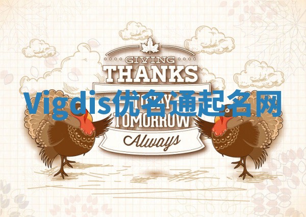 Vigdis优名通起名网