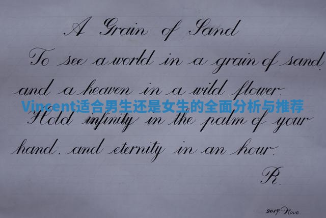 Vincent适合男生还是女生的全面分析与推荐