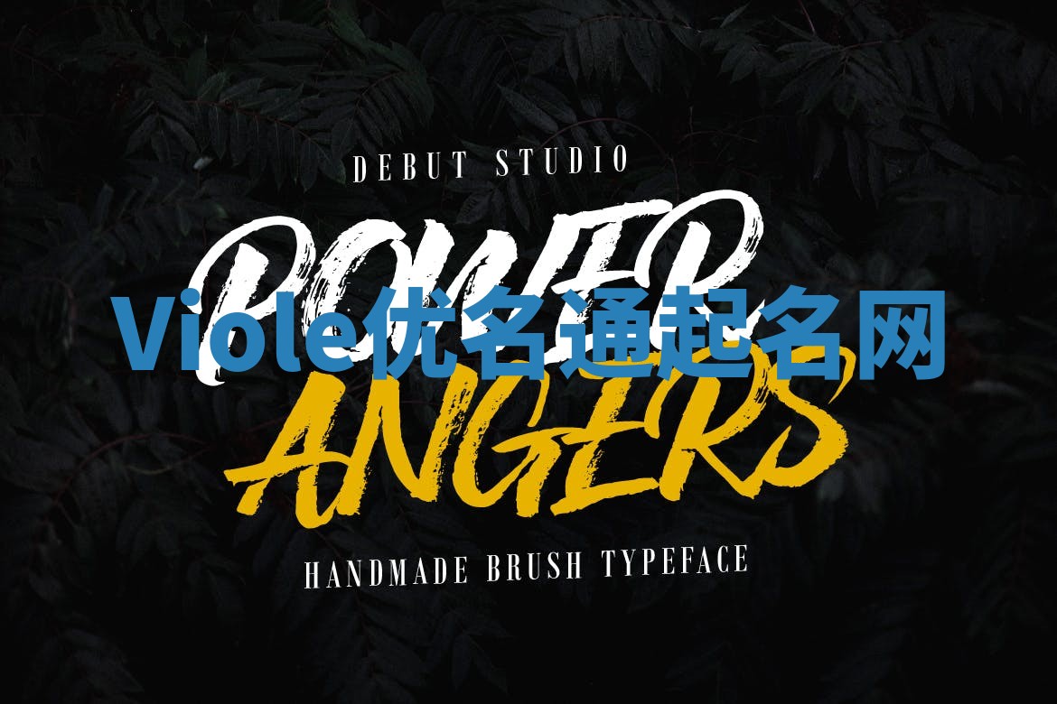 Viole优名通起名网