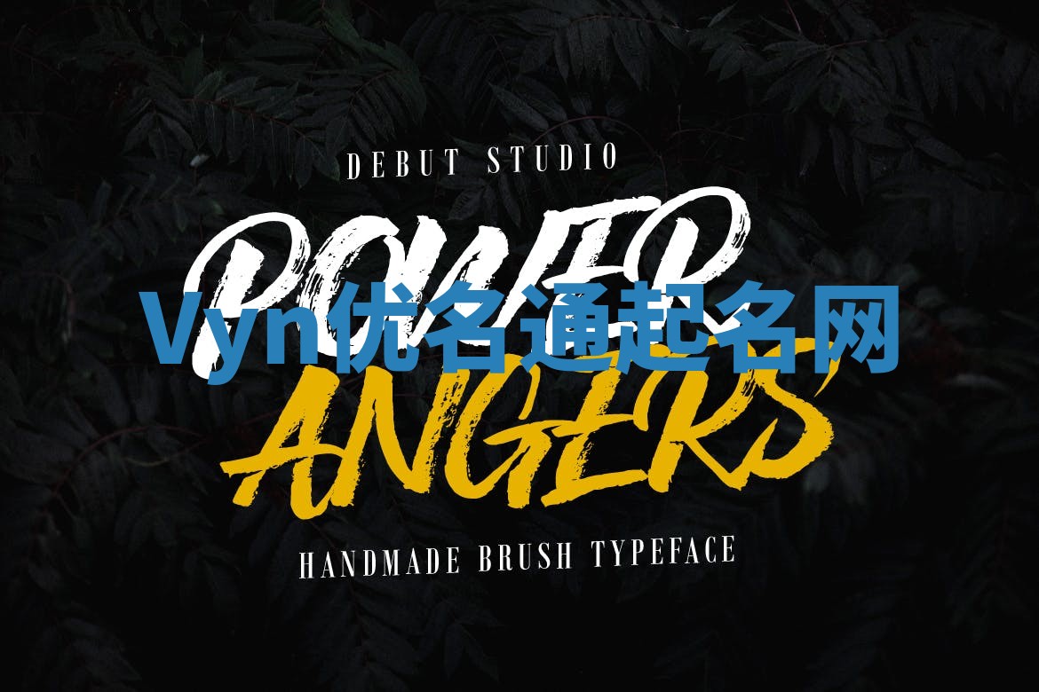 Vyn优名通起名网