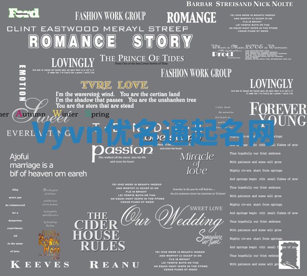 Vyvn优名通起名网