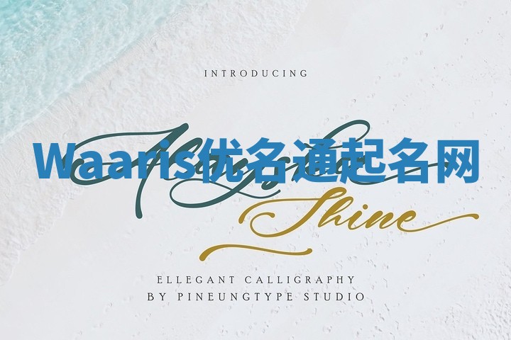 Waaris优名通起名网