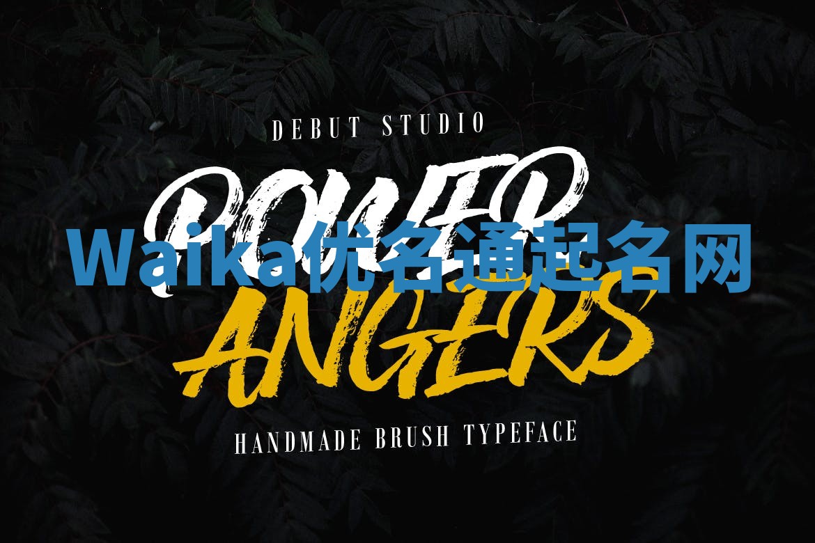 Waika优名通起名网