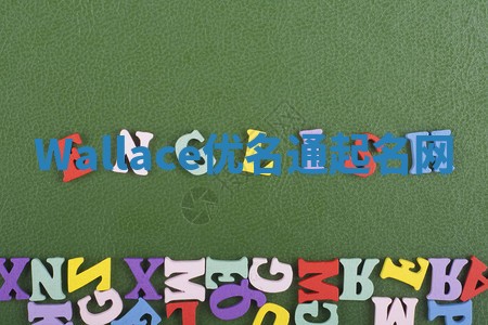 Wallace优名通起名网 Wallace优名通起名网