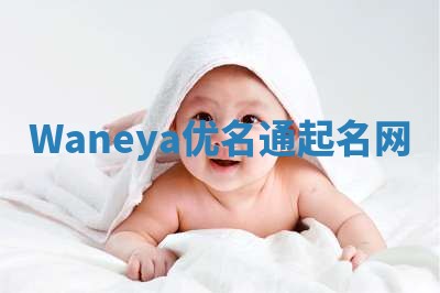 Waneya优名通起名网