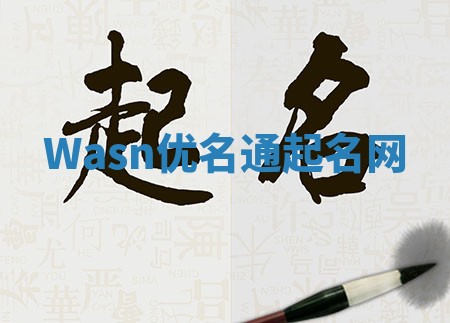 Wasn优名通起名网 Wasn优名通起名网