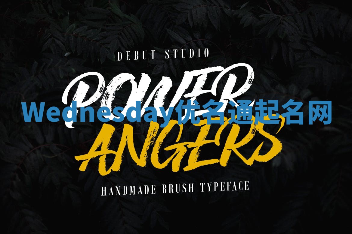 Wednesday优名通起名网