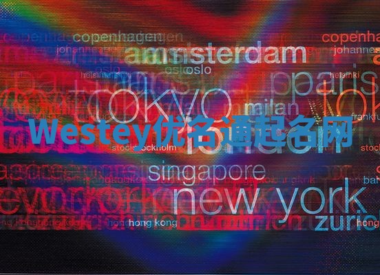 Westey优名通起名网