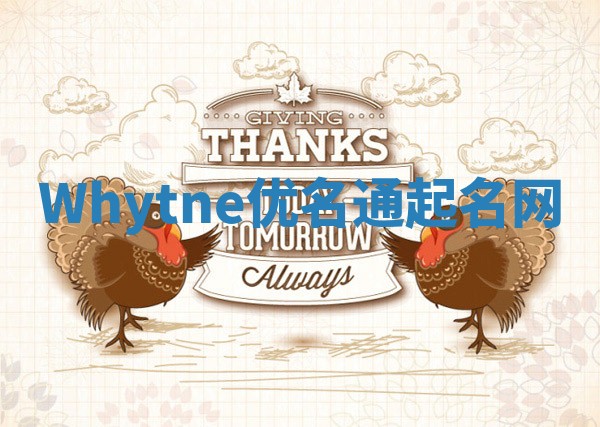 Whytne优名通起名网