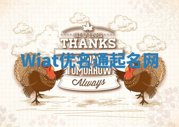 Wiat优名通起名网