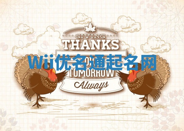 Wii优名通起名网