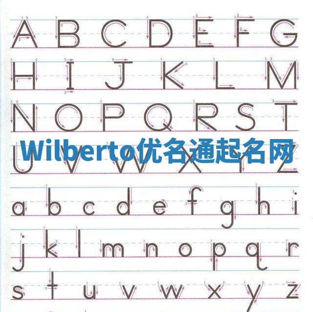 Wilberto优名通起名网