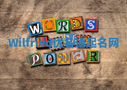 Wilfried优名通起名网