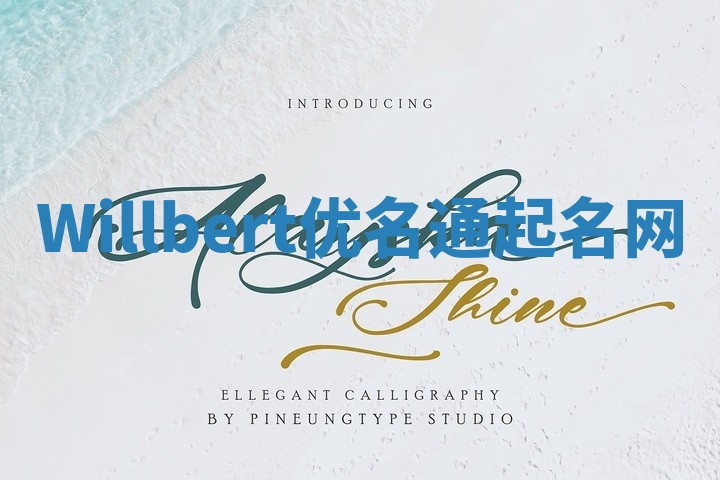 Willbert优名通起名网