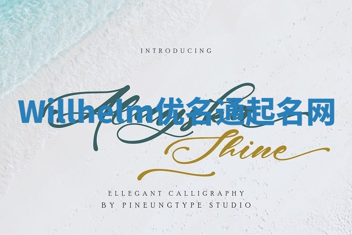 Willhelm优名通起名网