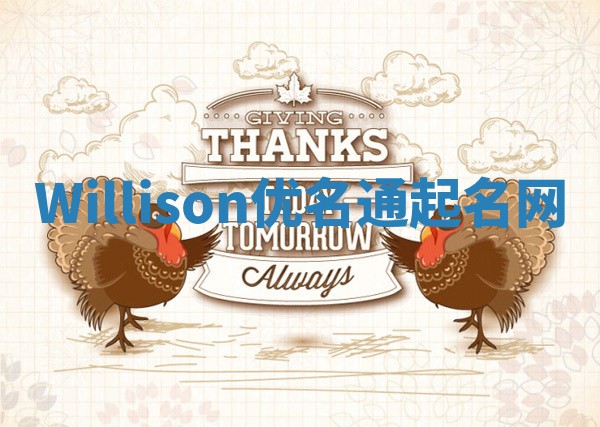 Willison优名通起名网