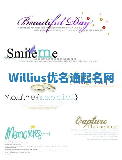 Willius优名通起名网