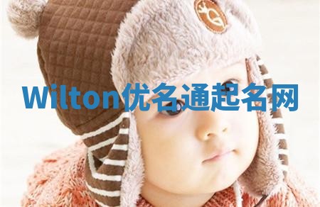 Wilton优名通起名网