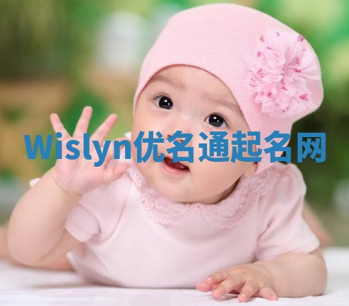 Wislyn优名通起名网