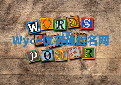 Wyce优名通起名网