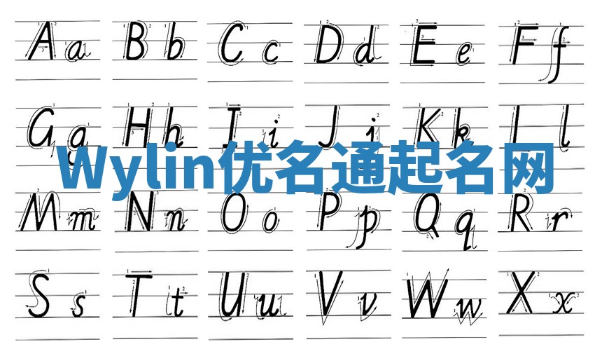 Wylin优名通起名网 Wylin优名通起名网