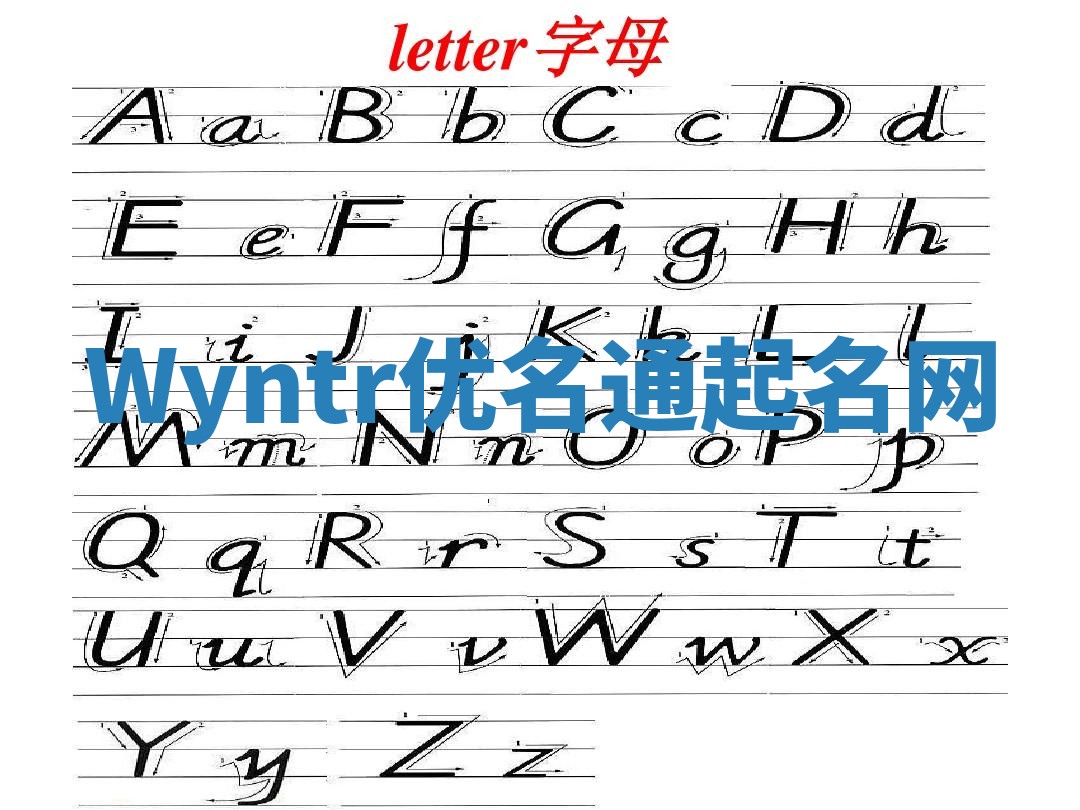 Wyntr优名通起名网