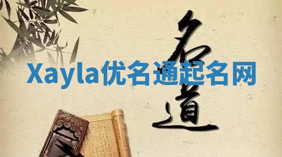 Xayla优名通起名网