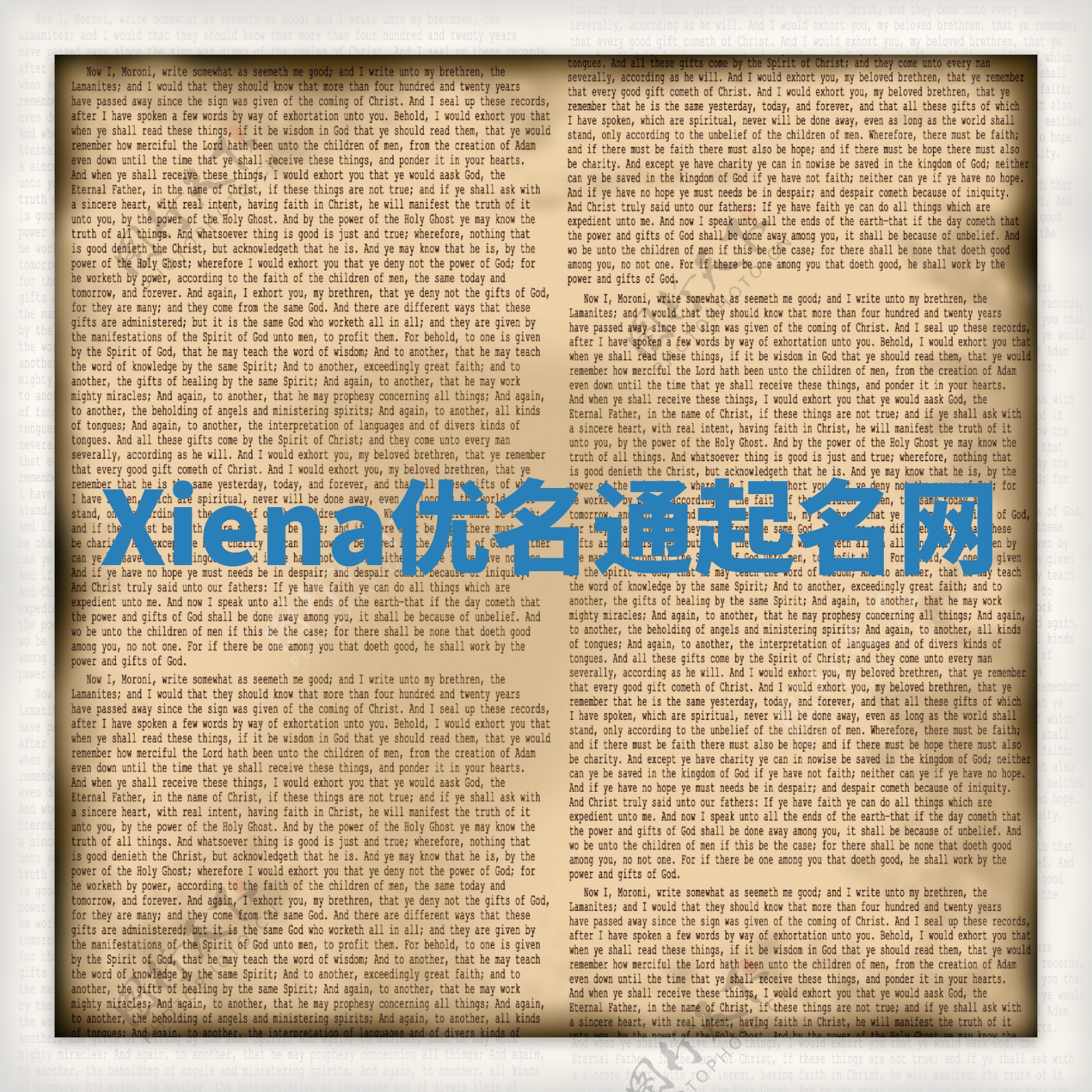 Xiena优名通起名网 Xiena优名通起名网