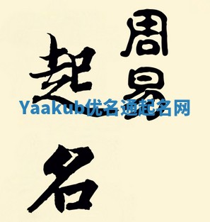 Yaakub优名通起名网
