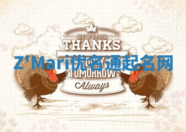 Z'Mari优名通起名网