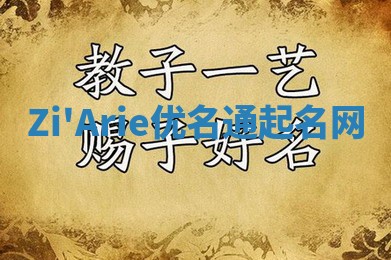 Zi'Arie优名通起名网