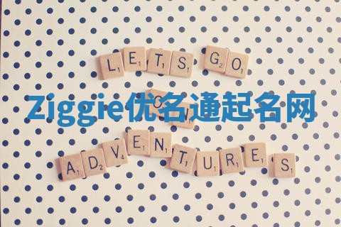 Ziggie优名通起名网