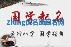 Ziling优名通起名网