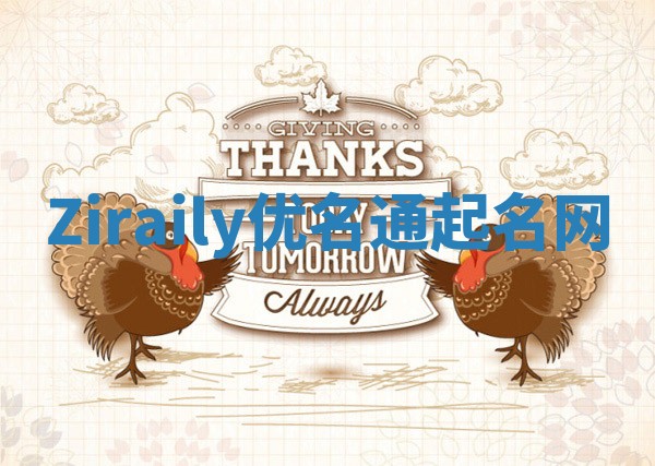 Ziraily优名通起名网