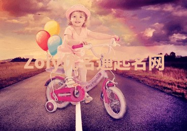 Zoiy优名通起名网