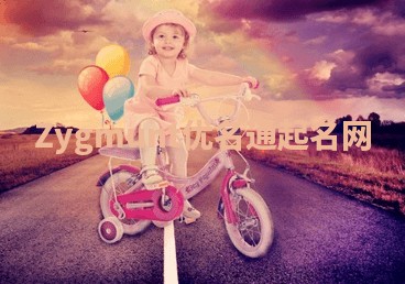 Zygmunt优名通起名网