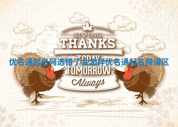 优名通起名网选错了会怎样_优名通起名网误区